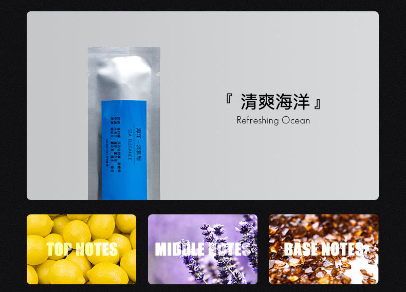 DOKIY (簡)Tesla車載香薰