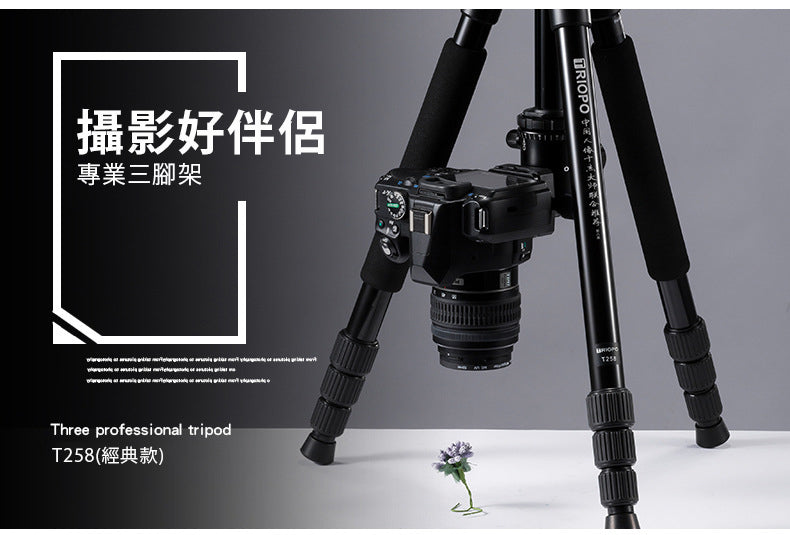 捷寶 多功能三腳架 T268+D2 可反折收納＋變獨腳架＋中軸倒置＋專業型球雲台＋360 全景雲台
