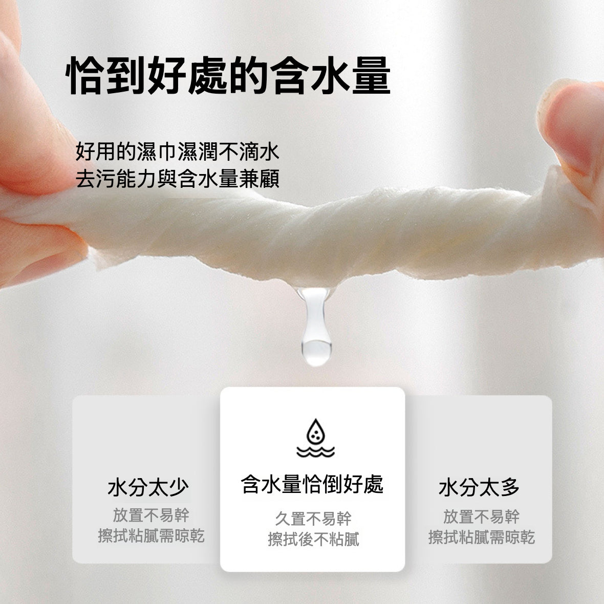 IRIS - Ag+銀離子抗菌無酒精 無香料夠厚!!夠濕!!夠安全!! 寵物用濕巾 ( 80片裝) (藍色包裝)密封蓋新包裝