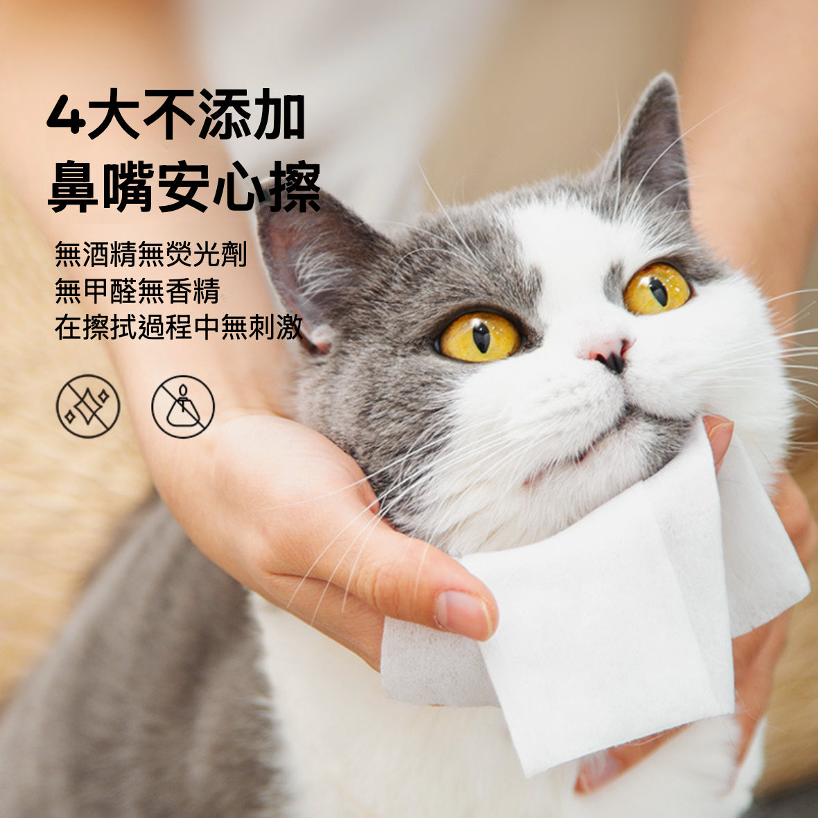 IRIS - Ag+銀離子抗菌無酒精 無香料夠厚!!夠濕!!夠安全!! 寵物用濕巾 ( 80片裝) (藍色包裝)密封蓋新包裝